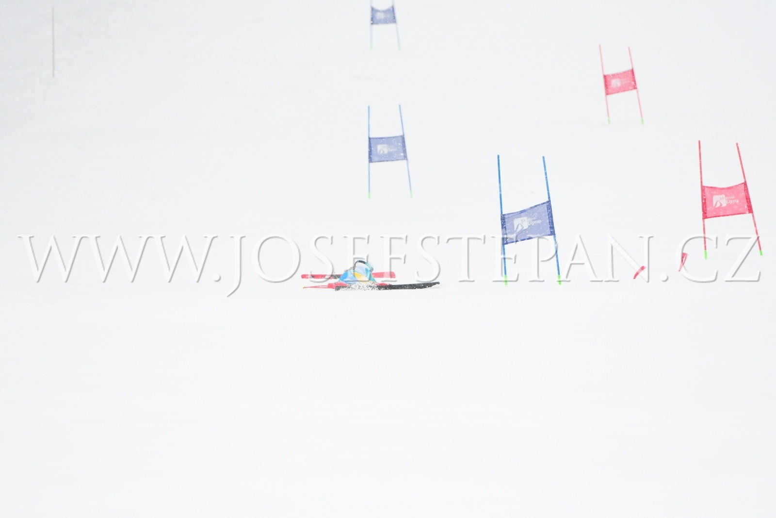 DXN_2104