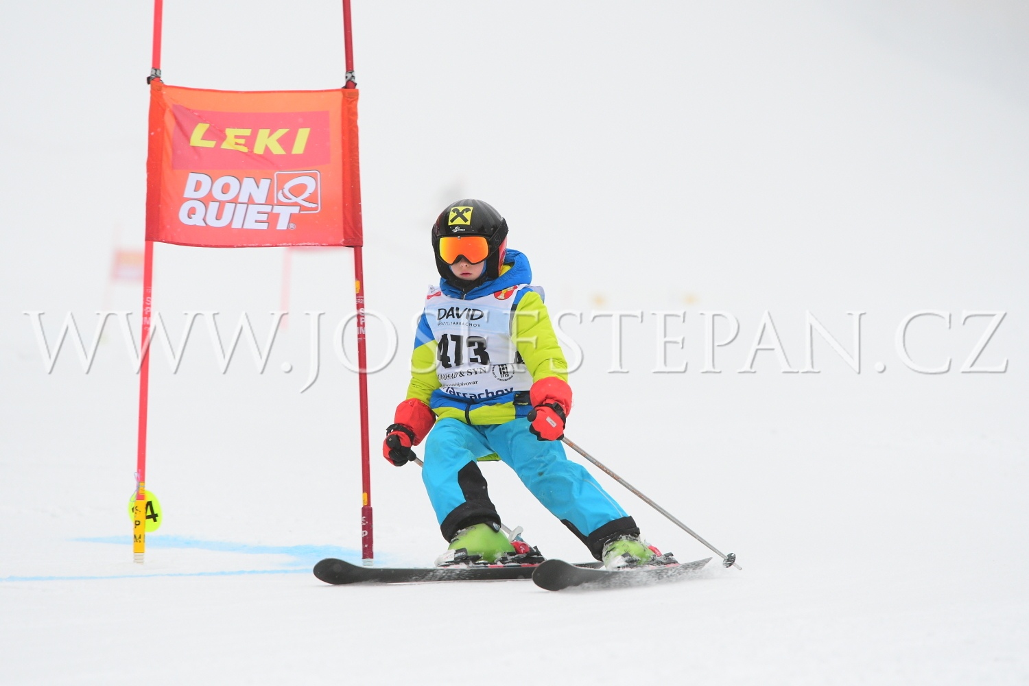 DXN_2637