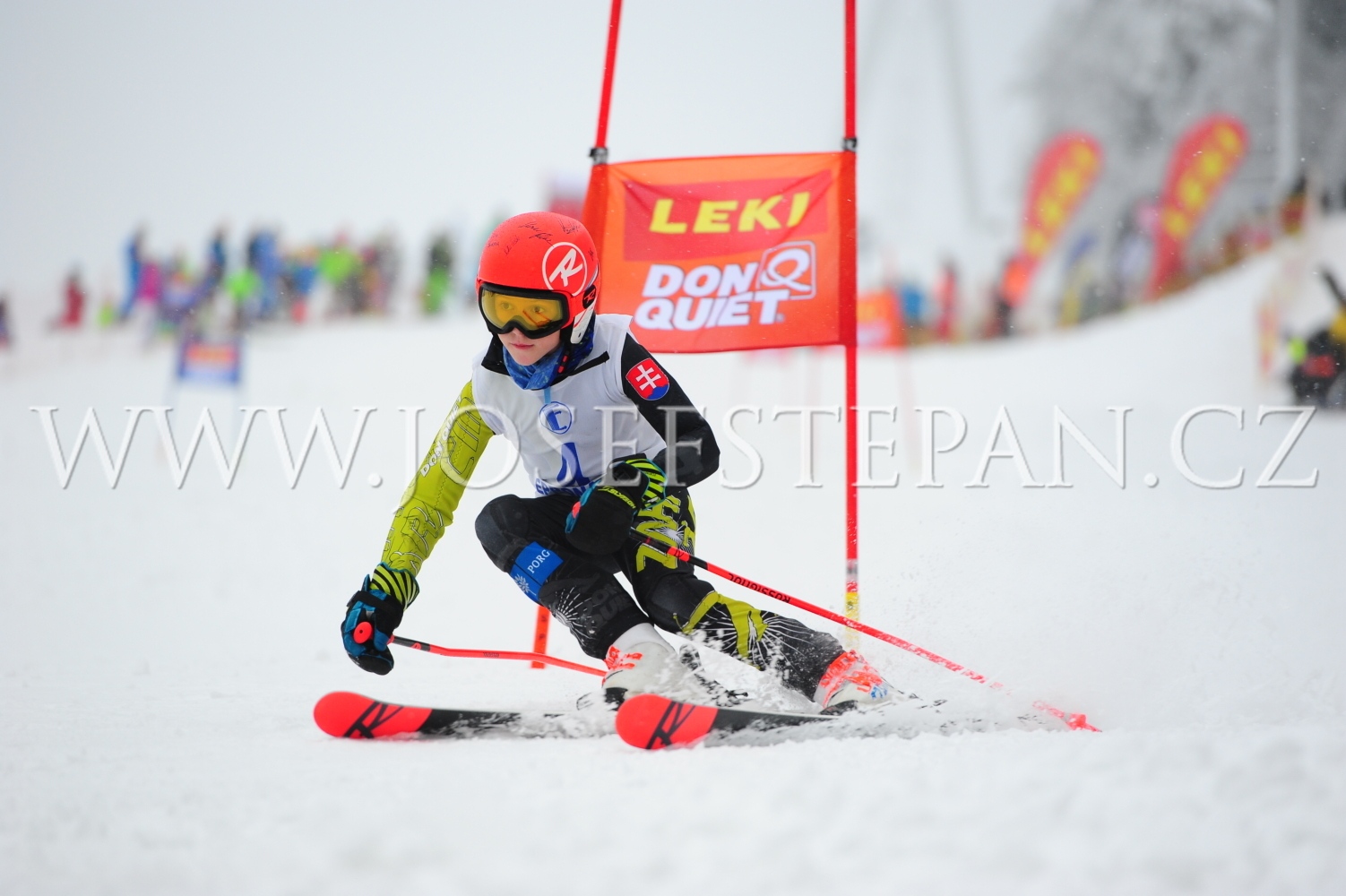 FFN_2010