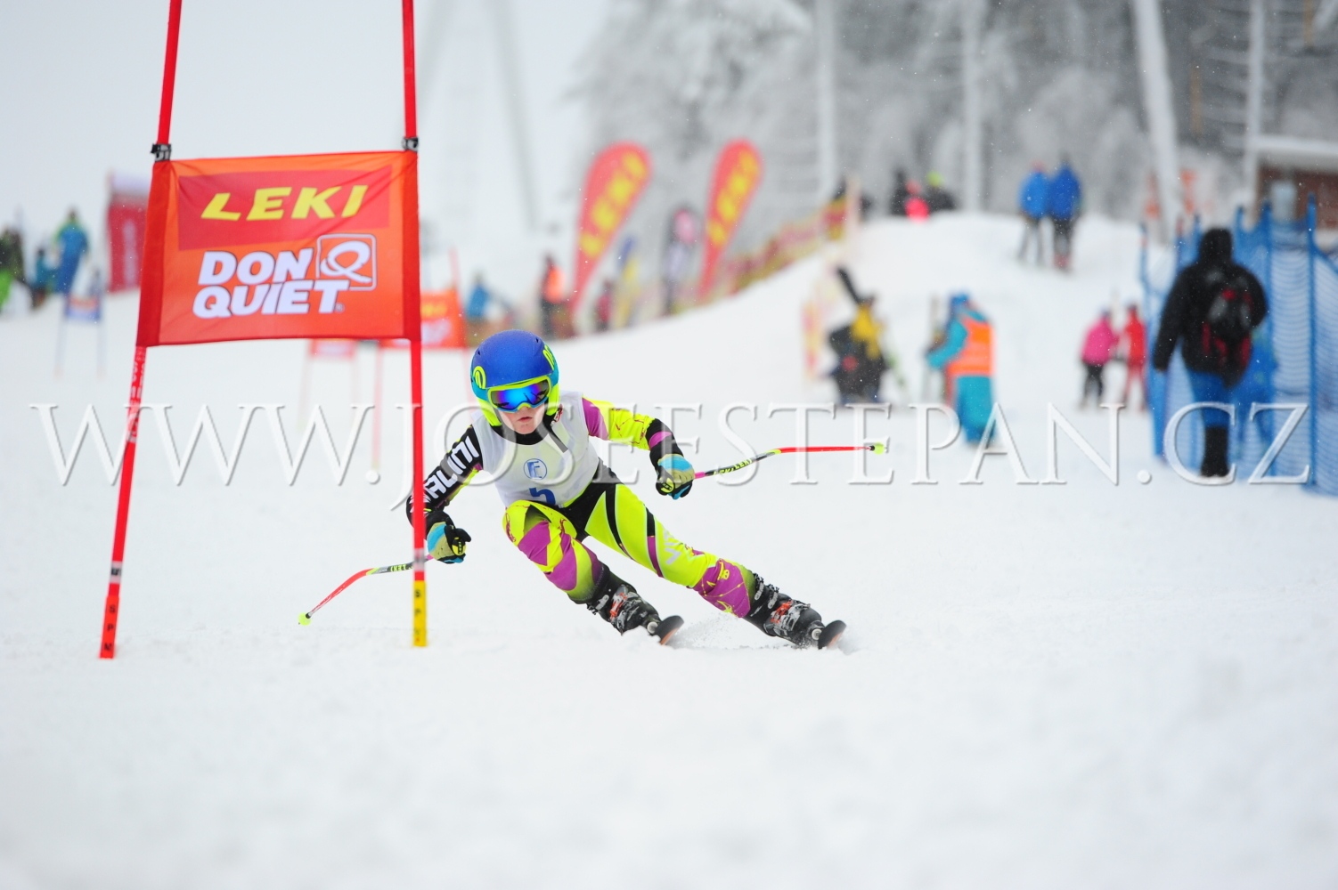 FFN_2011