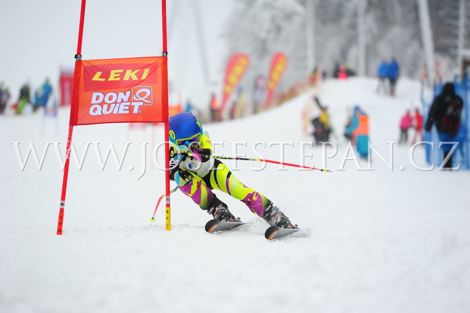 FFN_2012