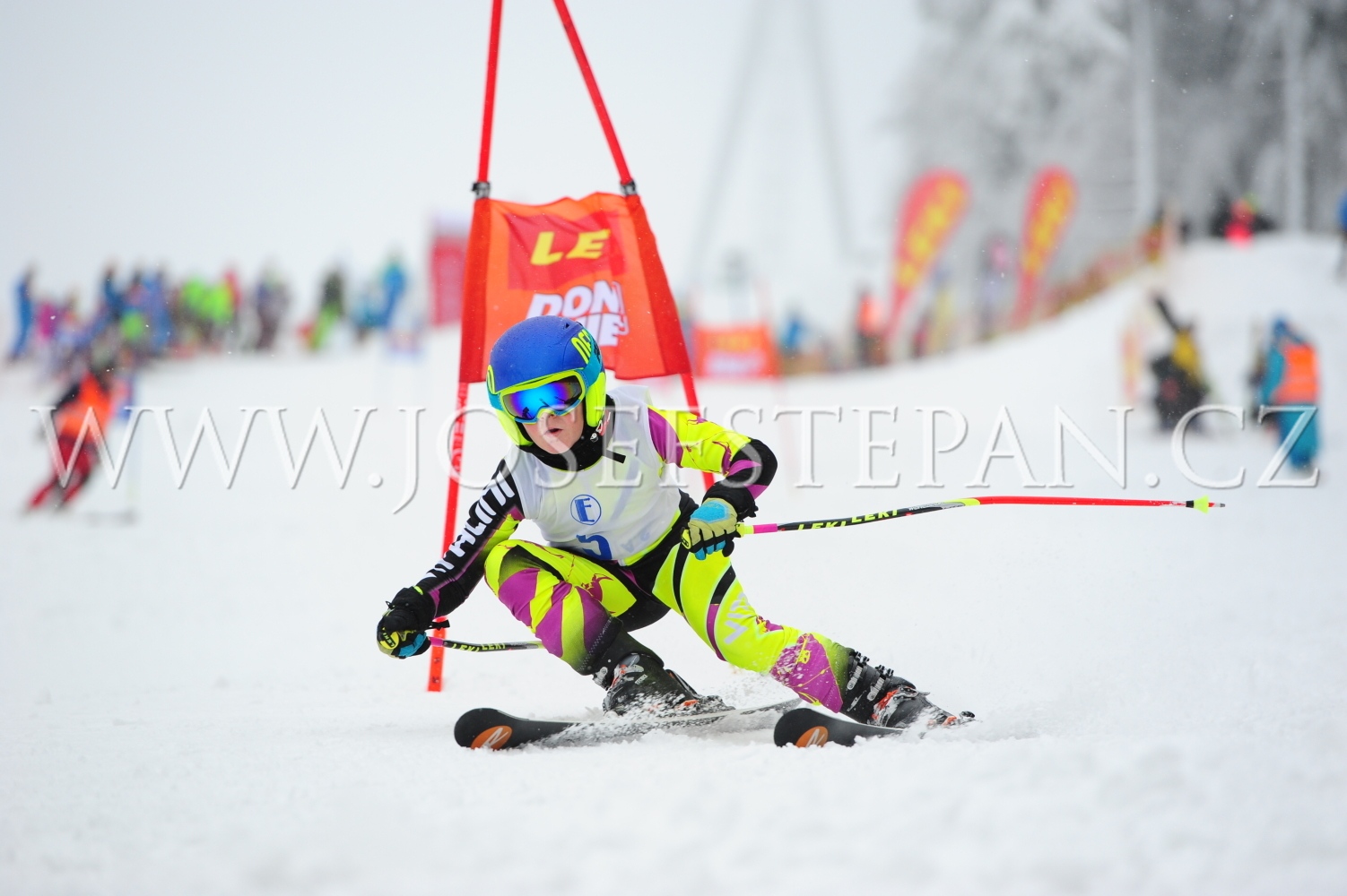 FFN_2013