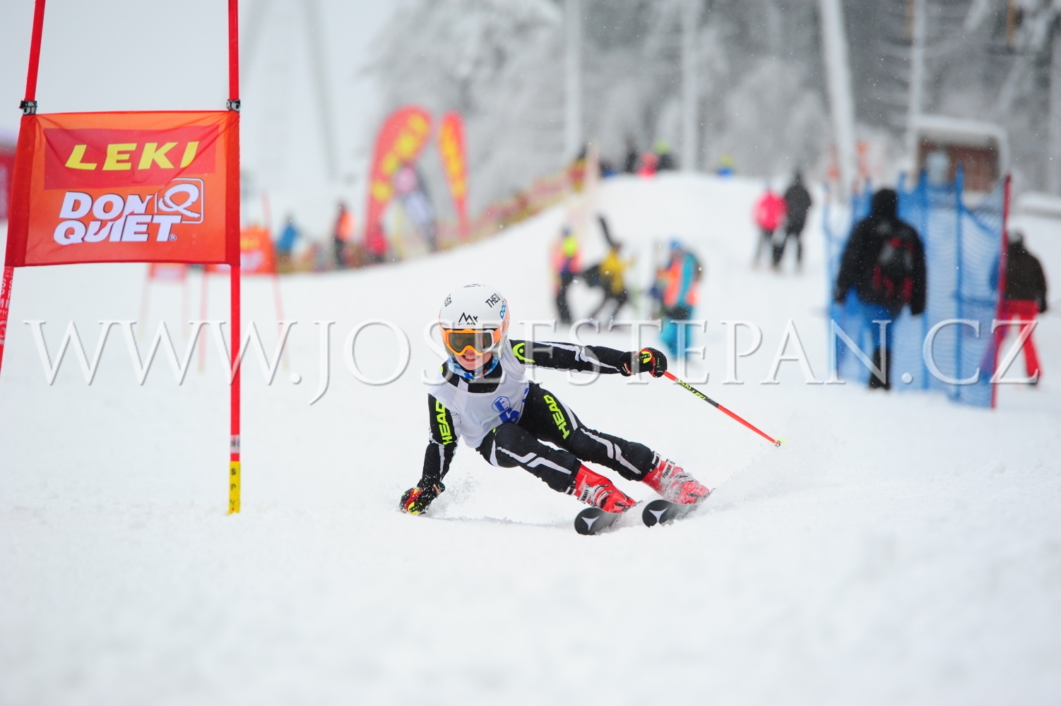 FFN_2014