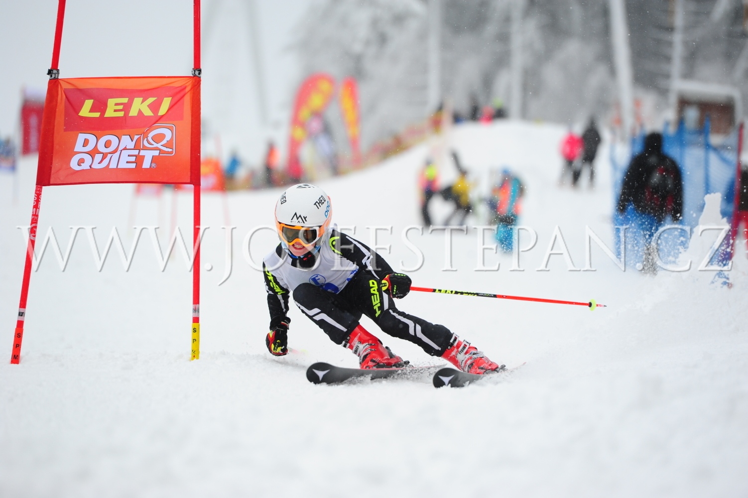 FFN_2015