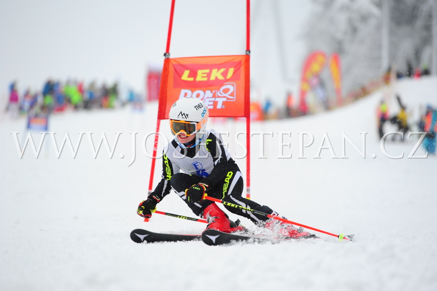 FFN_2016