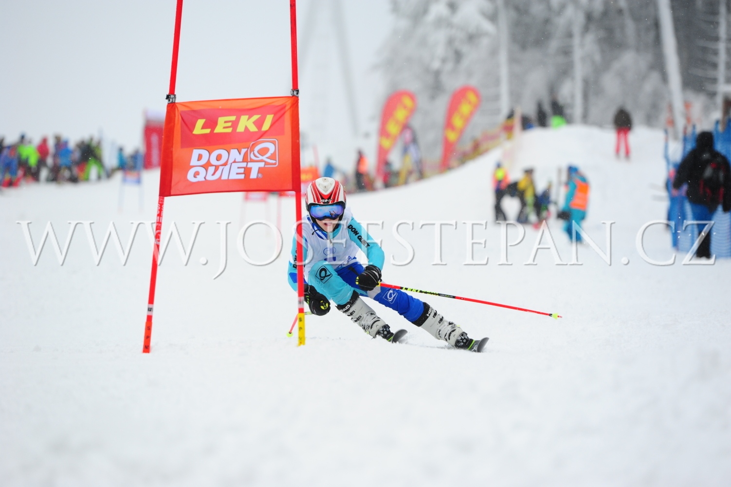 FFN_2018