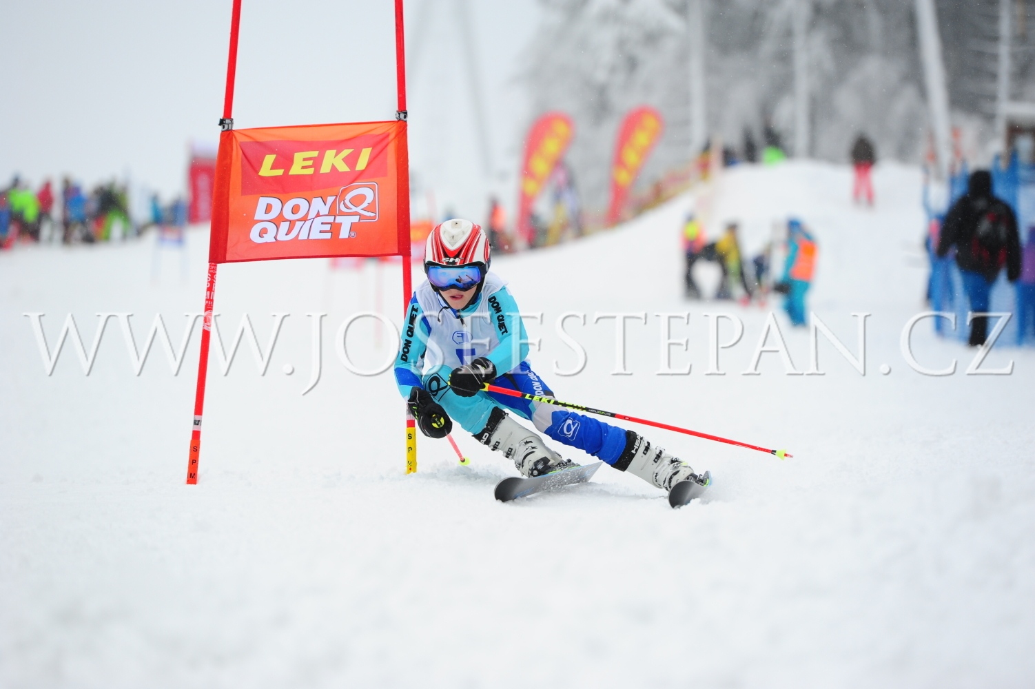 FFN_2019